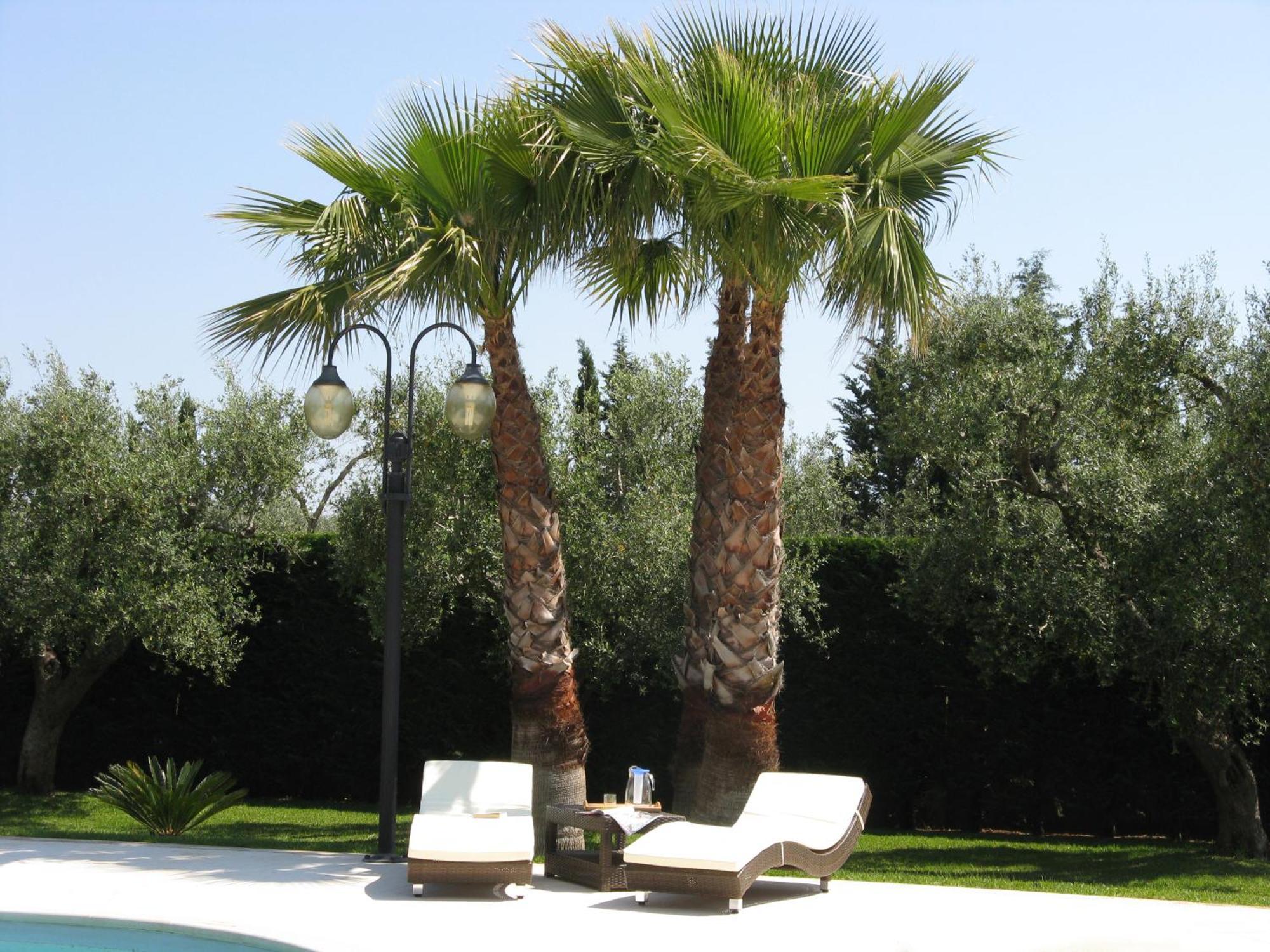 B&B Villa Vittoria Maglie Luaran gambar